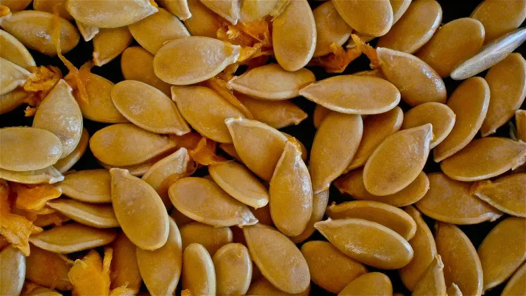 History of Eating Pumpkin Seeds