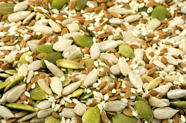 Potential Harmful Effects of Pumpkin Seeds for Dogs