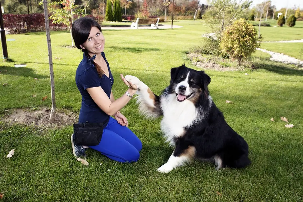 How Much Do Dog Trainers Make?