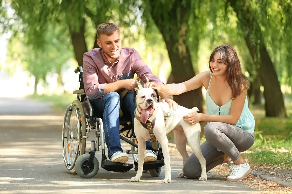 Your Rights as a Service Dog Handler