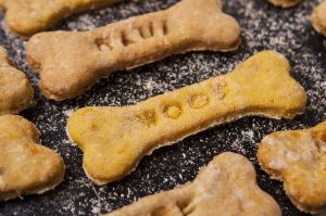 Best Dog Training Treats – Guide and Reviews 2022
