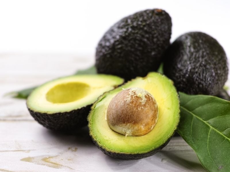 Benefits of Avocado for Dogs