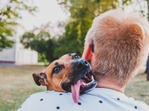 What Does It Mean When Your Dog Puts Their Head on You?
