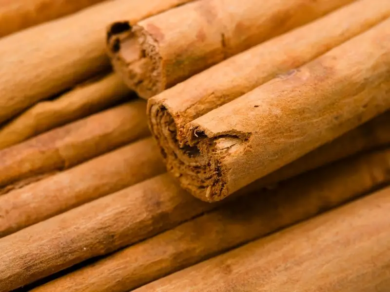 Benefits of Cinnamon for Dogs