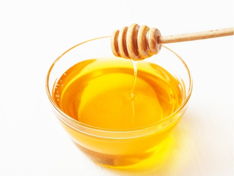 Benefits of Honey for Dogs