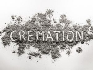How Much to Cremate a Dog? Dog Tips 2023