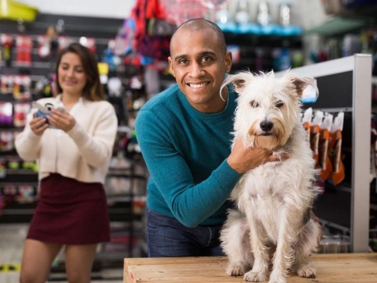 Stores That Allow Dogs Dog Friendly Stores 2023 Canine Hq