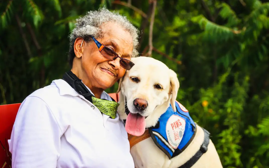 The Benefits of Adopting a Senior Dog